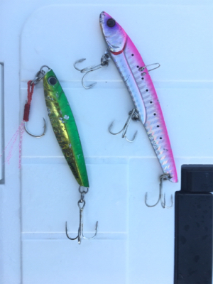 アジ！ツバス！ハマチ！