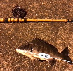 ちょこっと釣行