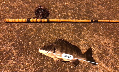 ちょこっと釣行