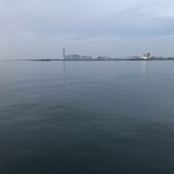 中アジが復活！