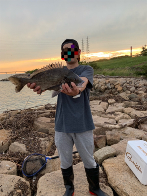 有まづめから日没までのぶっ込み釣り