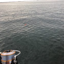 ルアーで初の大爆釣！@沖堤防