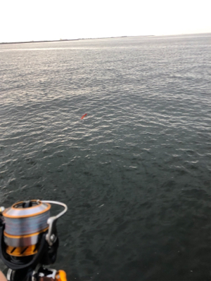 ルアーで初の大爆釣！@沖堤防