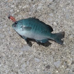 アシストフック