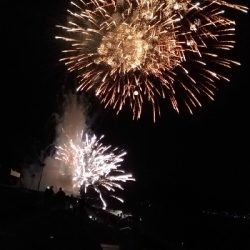 8/12釣果花火大会★ワニゴチサヨリ豆アジアカエイの出産