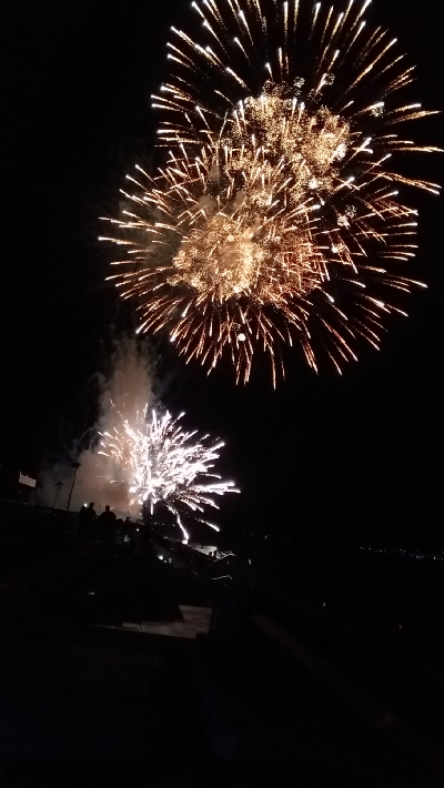 8/12釣果花火大会★ワニゴチサヨリ豆アジアカエイの出産