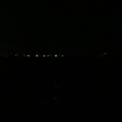 今夜もシーバス