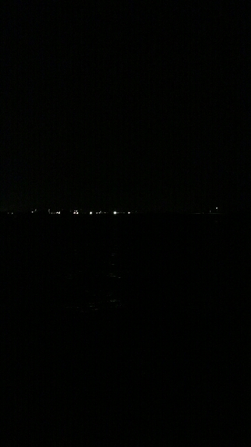 今夜もシーバス