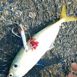 久々の水軒一文字