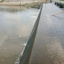 バス釣りのはずが・・・