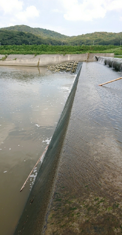 バス釣りのはずが・・・