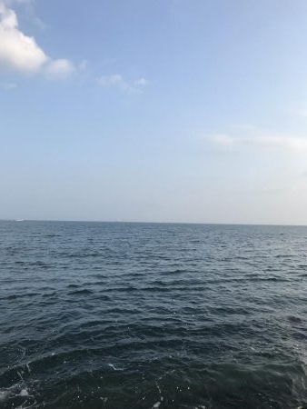 夏のライトショアジギング7