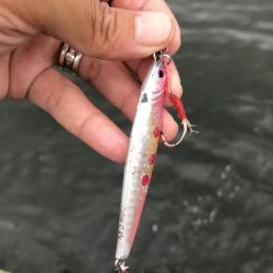 8月30日神戸空港ツバス祭り