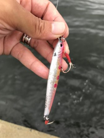 8月30日神戸空港ツバス祭り