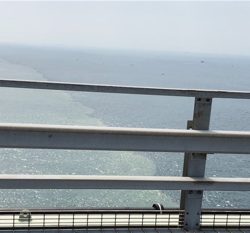 台風一過後のカマス