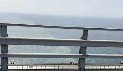 台風一過後のカマス