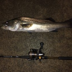 ナイトゲームでもコアマン