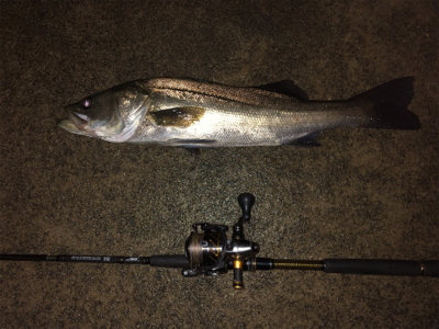 ナイトゲームでもコアマン