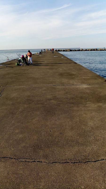 アオリイカ釣り