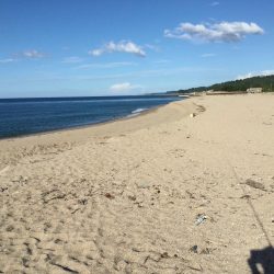 北条海岸ヒラメ釣り