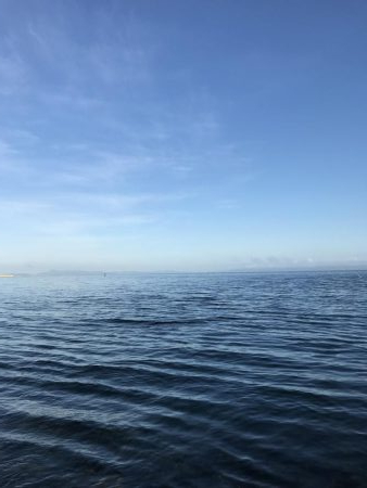 夏のライトショアジギング5