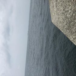 今年初の淡路島