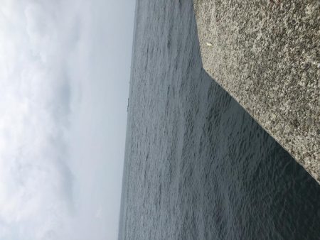 今年初の淡路島