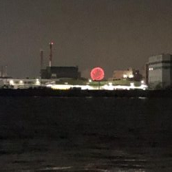 夕まづめ狙いでチヌ・シーバス狙い。