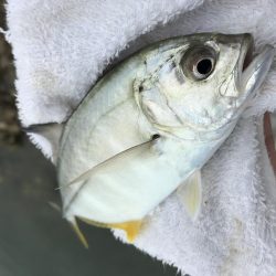 楽しいメッキ ！