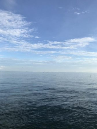 夏のライトショアジギング4