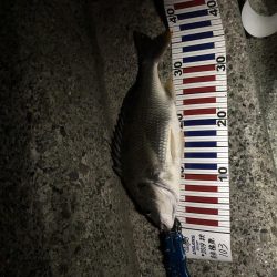 今週も釣れたー‼︎