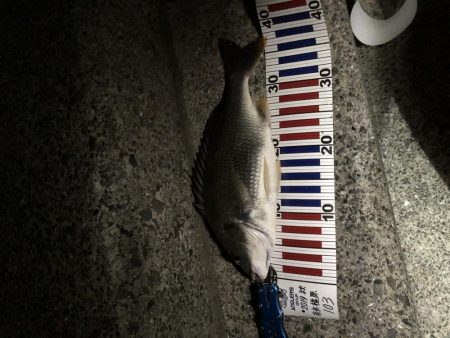 今週も釣れたー‼︎