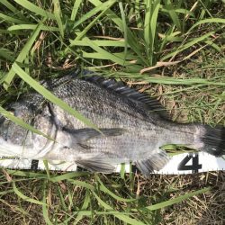 イチノ兄弟、釣果！！