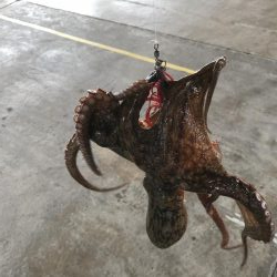 オクトパッシング