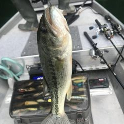 目標昼までに二桁釣るぞ