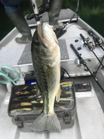 目標昼までに二桁釣るぞ