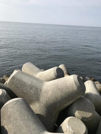 タチウオ食いたい