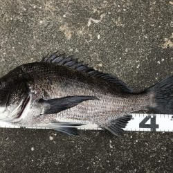 イチノ兄弟、釣果！