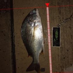 強制日光浴野郎