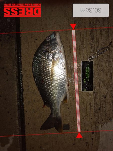 強制日光浴野郎