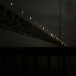 一年ぶりのケンサキ