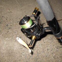 ランカーバレる…。