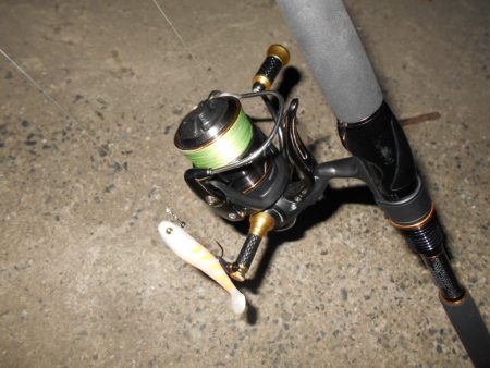 ランカーバレる…。