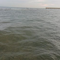 波打ち際の攻防戦。〜いい引きしましたぁ〜！