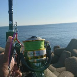 朝マズメ  ライトショアジギング