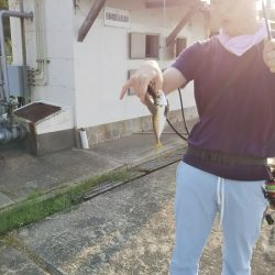 沼島でライトゲーム