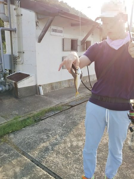 沼島でライトゲーム