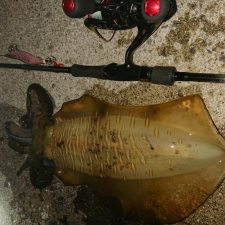 潮が動きだしたその時！