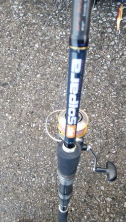 タコ釣りからアジング