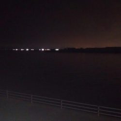 成長したツバス狙い